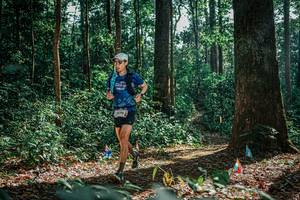 BIB: 
                            <button type="button" onclick="openModal(26082957)" class="btn btn-primary btn-sm float-right btn-popup" data-toggle="modal" data-target=".modal-high-quality">
                        <i class="fas fa-shopping-cart"></i> Add to Cart
                    </button>
                                            <button type="button" onclick="isThisMe(26082957, true)" class="btn btn-success btn-sm float-right btn-popup btn-isme hidden" data-toggle="tooltip" data-placement="bottom" title="นี่คือรูปของคุณใช่ไหม คลิกที่นี่เพื่อเอาเข้าอัลบั้ม">
                        <i class="fas fa-plus"></i> Add to album
                    </button>
                    <button type="button" onclick="isThisMe(26082957, false)" class="btn btn-warning btn-sm float-right btn-popup btn-isnotme hidden">
                        <i class="fas fa-ban"></i> Remove from album
                    </button>